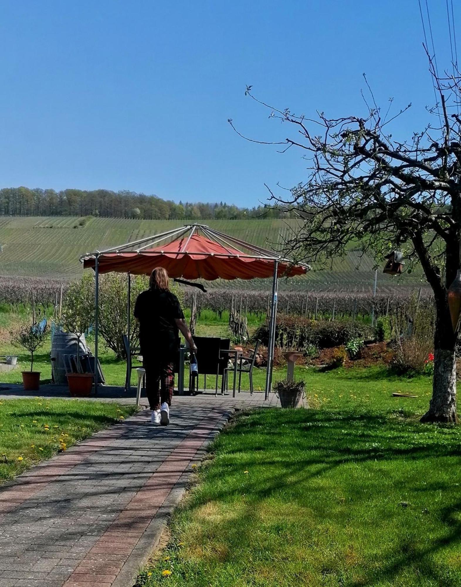 Weingut Tiliahof Bed & Breakfast Brauneberg Dış mekan fotoğraf