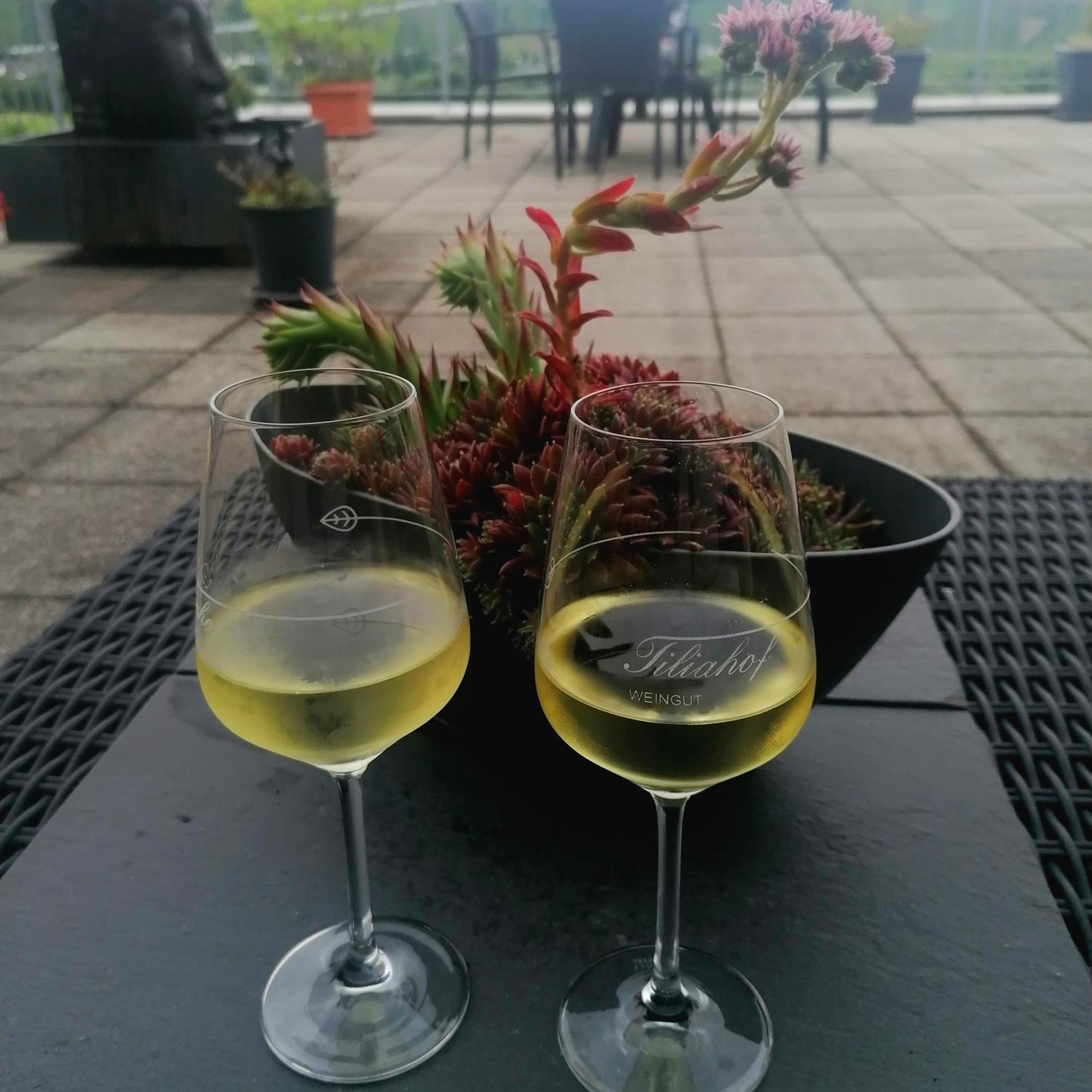 Weingut Tiliahof Bed & Breakfast Brauneberg Dış mekan fotoğraf