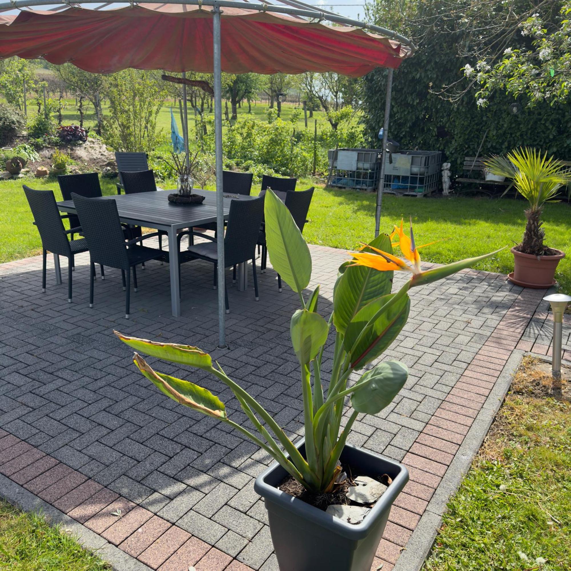 Weingut Tiliahof Bed & Breakfast Brauneberg Dış mekan fotoğraf