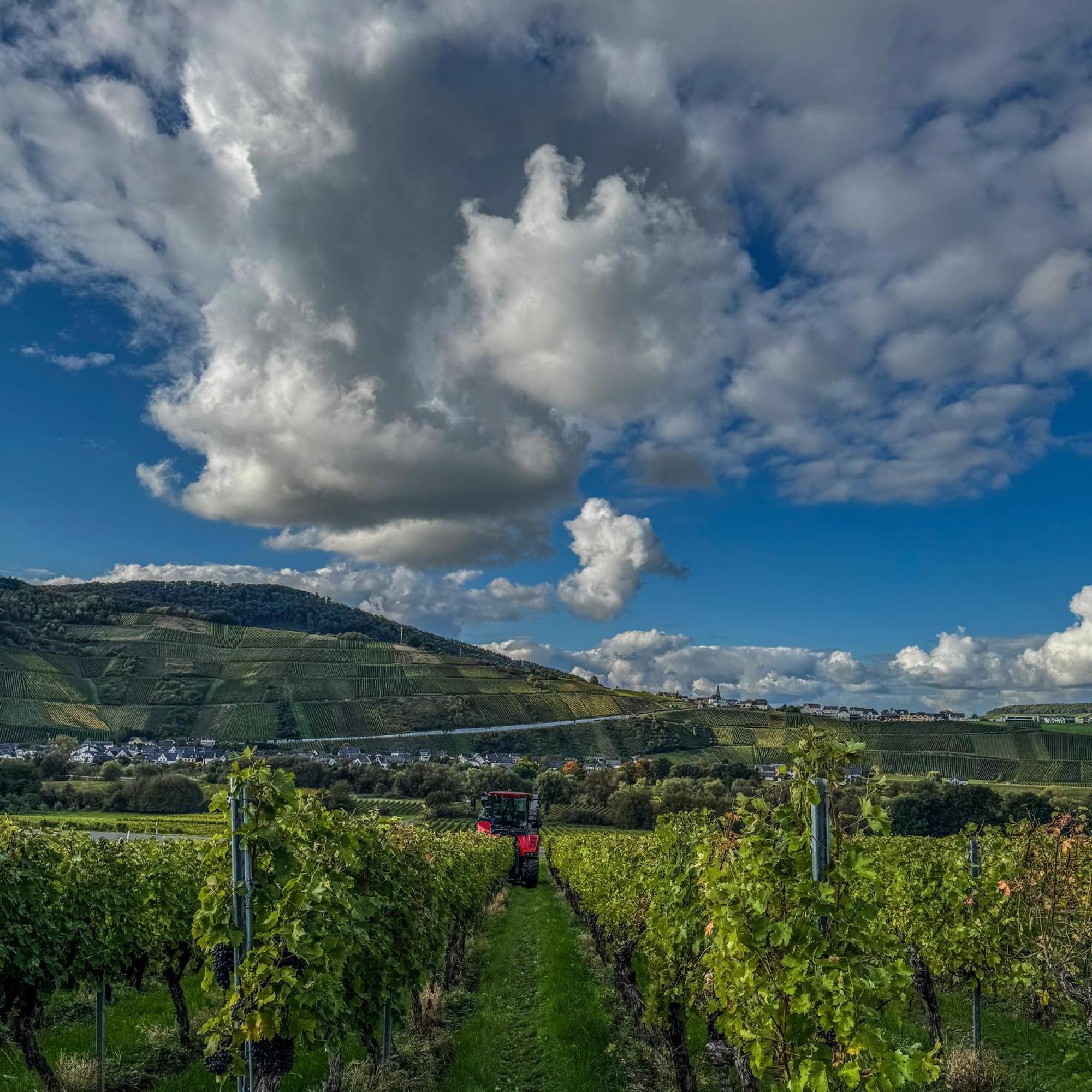 Weingut Tiliahof Bed & Breakfast Brauneberg Dış mekan fotoğraf
