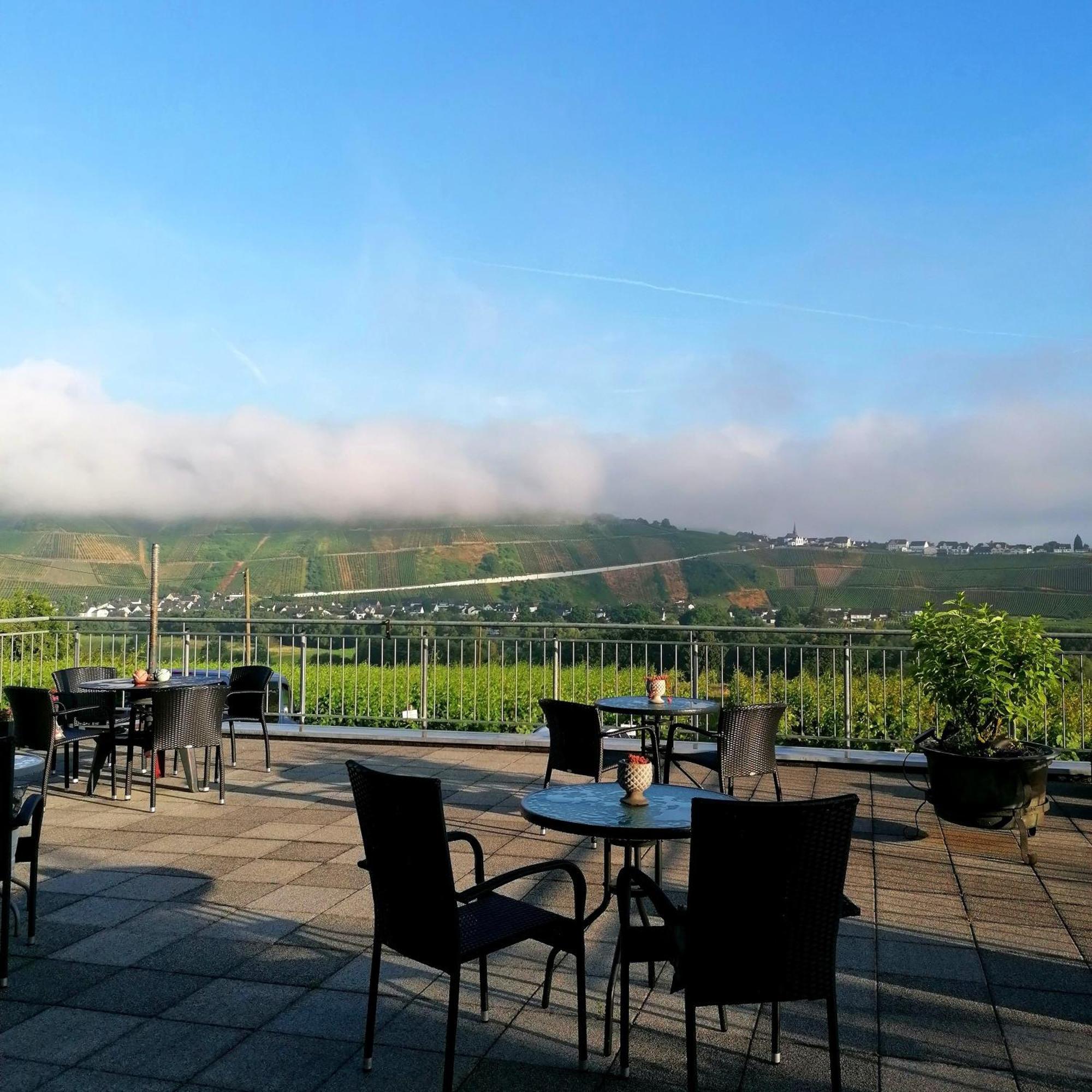 Weingut Tiliahof Bed & Breakfast Brauneberg Dış mekan fotoğraf
