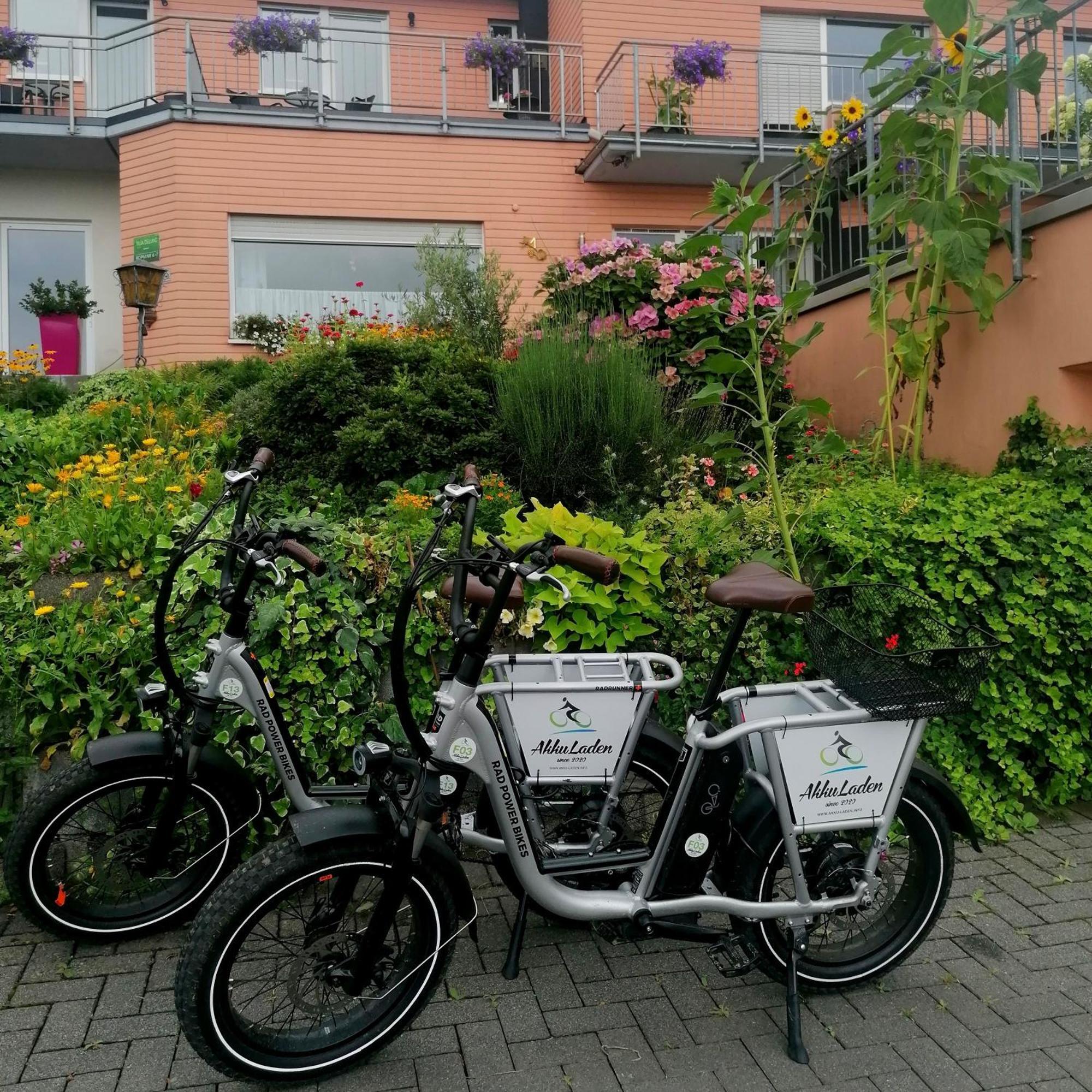 Weingut Tiliahof Bed & Breakfast Brauneberg Dış mekan fotoğraf